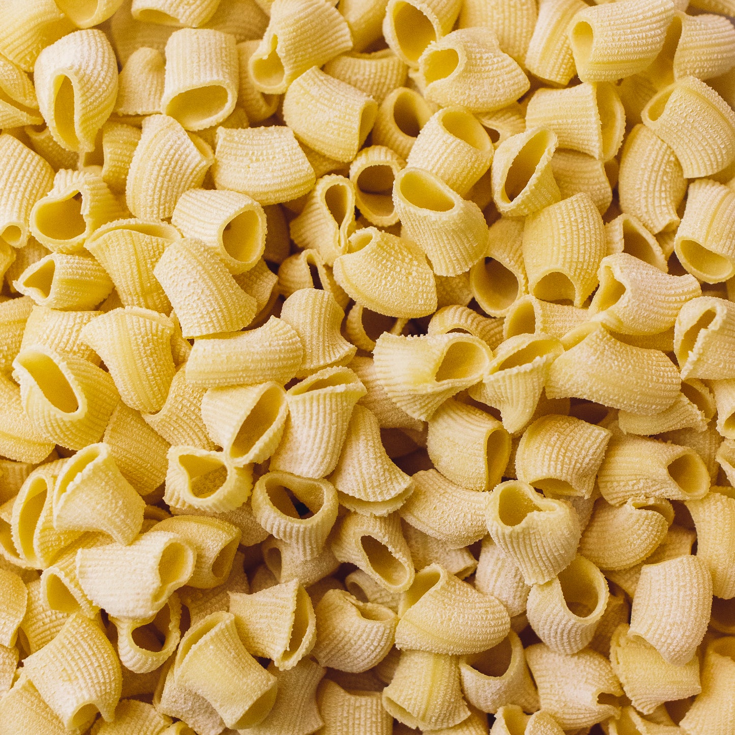 MACCHERONI